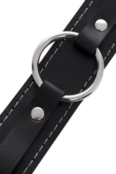 Кожаный ошейник-чокер с поводком Кожаный ошейник-чокер с поводком