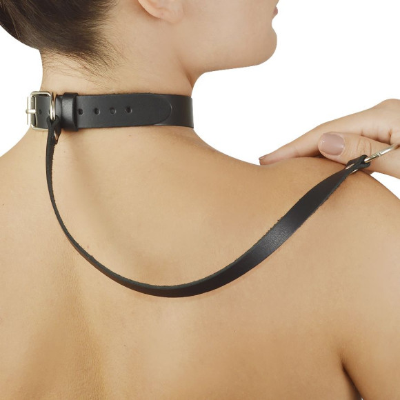 Зеленый меховой ошейник с кожаным поводком Зеленый меховой ошейник с кожаным поводком