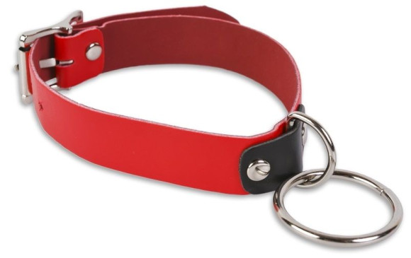 Красный ошейник с колечком Красный ошейник с колечком