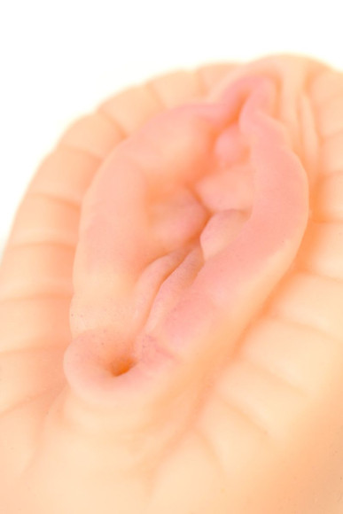 Тугой фигурный мастурбатор-вагина JUICY PUSSY HOT BLOOM Тугой фигурный мастурбатор-вагина JUICY PUSSY HOT BLOOM