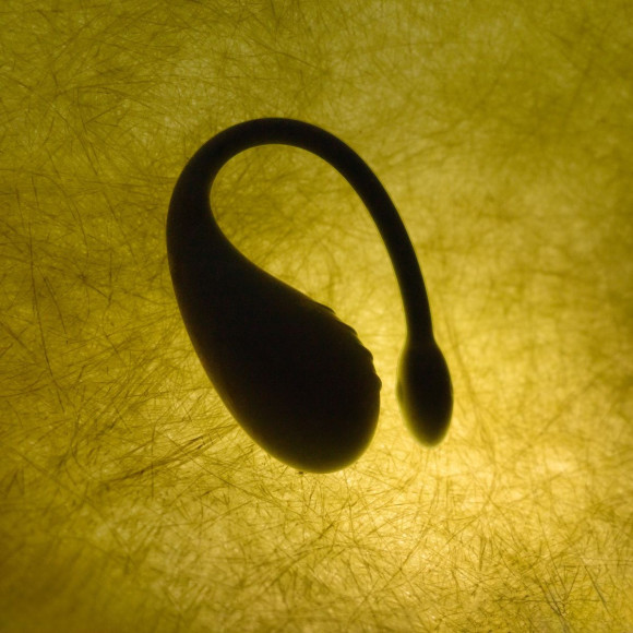 Синее виброяйцо Aurora Синее виброяйцо Aurora