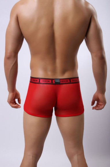 Сетчатые трусы-боксеры Cockcon Trunks с принтом на гульфике Сетчатые трусы-боксеры Cockcon Trunks с принтом на гульфике