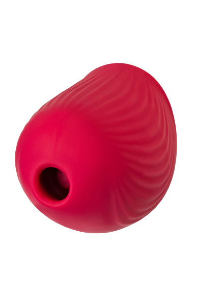 Красный вакуум-волновой стимулятор клитора Birdie Красный вакуум-волновой стимулятор клитора Birdie